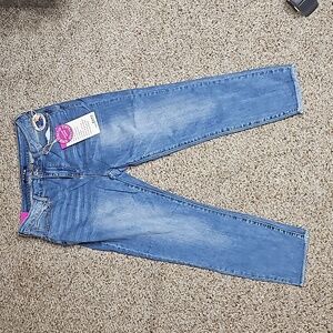 S.O.N.G. Curvy Skinny Midrise Crop Jeans